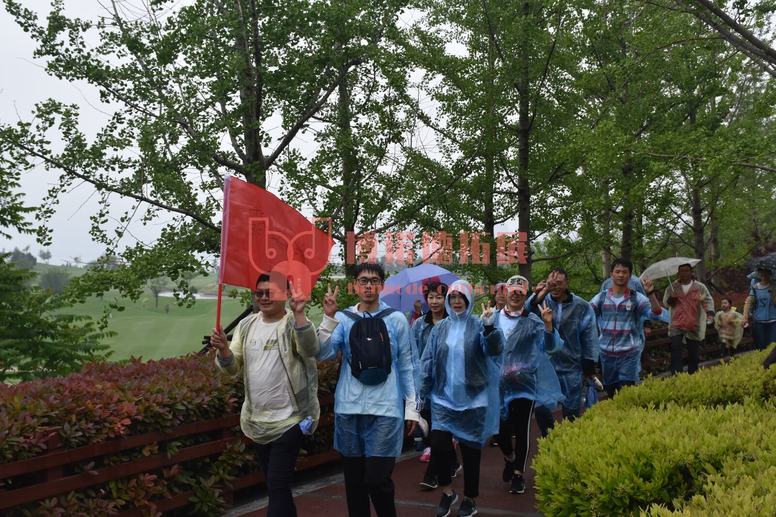 麦迪绅城市健步走活动(图1)