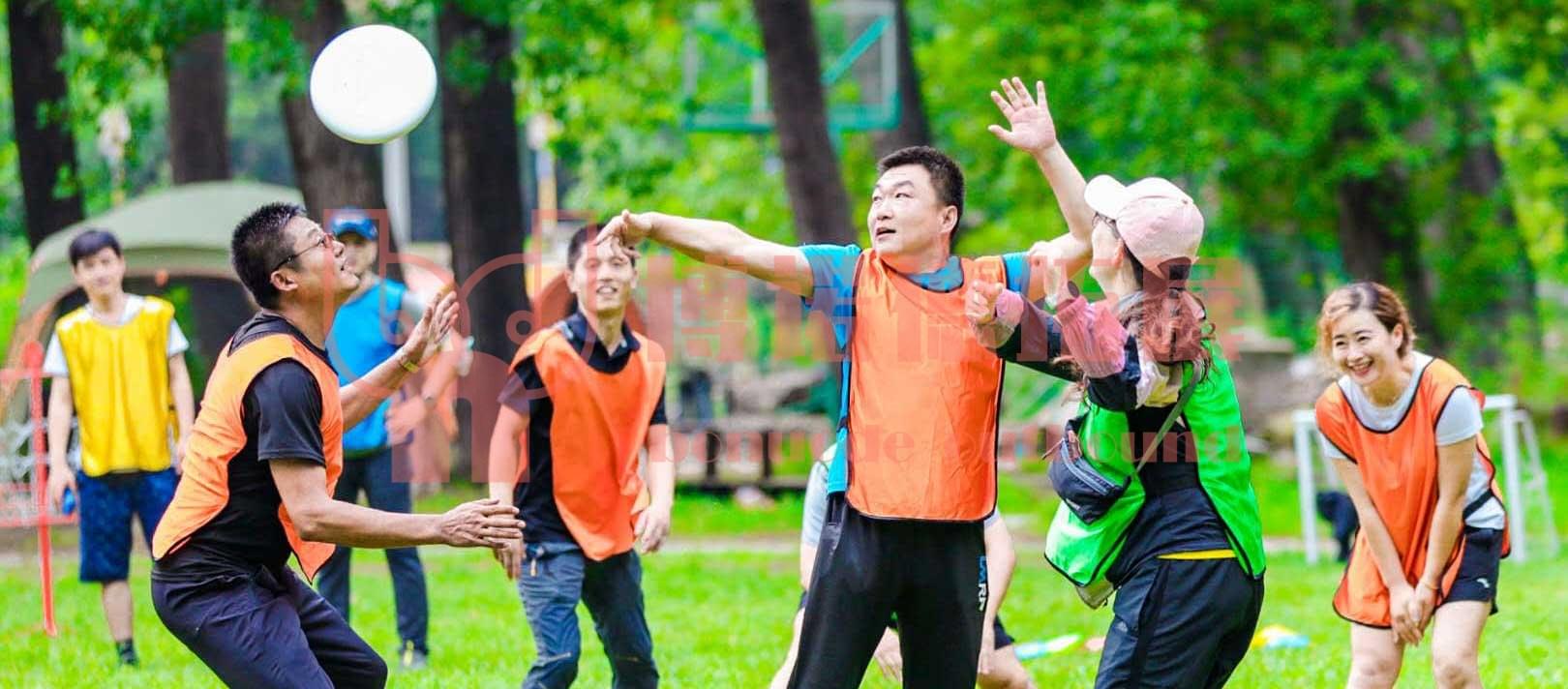 极限飞盘(图5)
